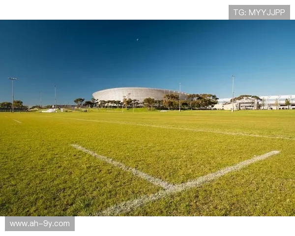 漫步崇礼绿茵足球场感受四季流转清新辽阔自然风光魅力无边之境美