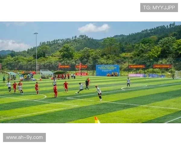 聚焦定南绿色激情全面描绘地方足球比赛全景纪实记录发展风貌巡礼